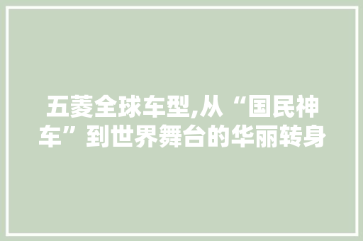 五菱全球车型,从“国民神车”到世界舞台的华丽转身