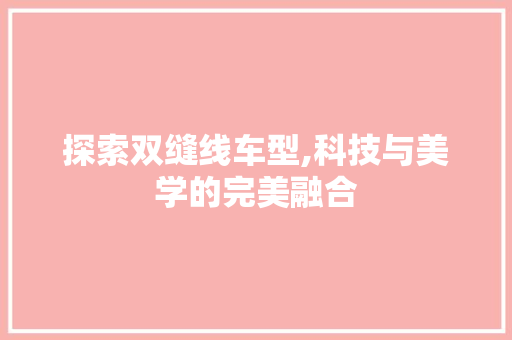 探索双缝线车型,科技与美学的完美融合