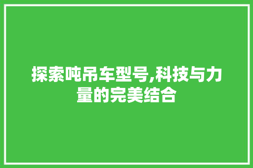 探索吨吊车型号,科技与力量的完美结合