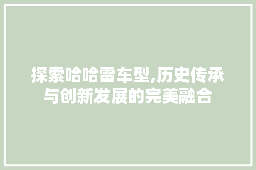 探索哈哈雷车型,历史传承与创新发展的完美融合 车身配件