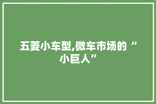 五菱小车型,微车市场的“小巨人”