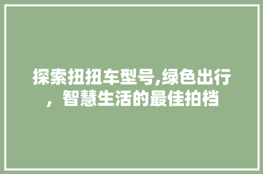 探索扭扭车型号,绿色出行，智慧生活的最佳拍档
