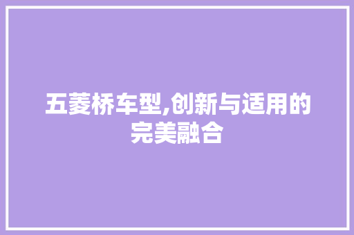 五菱桥车型,创新与适用的完美融合