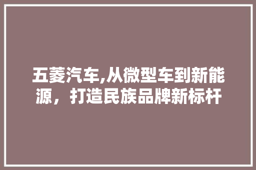 五菱汽车,从微型车到新能源，打造民族品牌新标杆