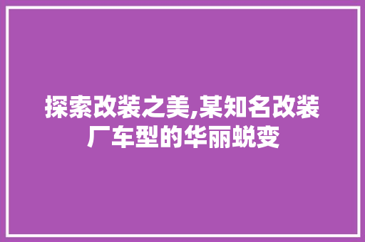 探索改装之美,某知名改装厂车型的华丽蜕变