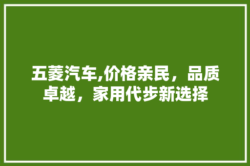 五菱汽车,价格亲民，品质卓越，家用代步新选择