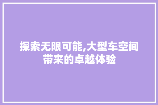 探索无限可能,大型车空间带来的卓越体验