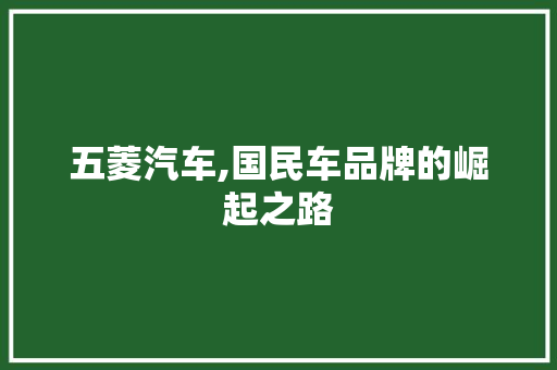 五菱汽车,国民车品牌的崛起之路 车灯配件