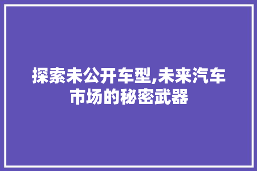 探索未公开车型,未来汽车市场的秘密武器