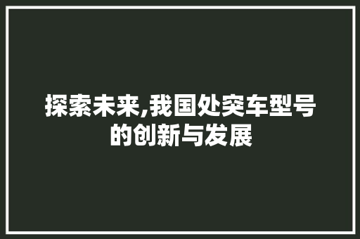 探索未来,我国处突车型号的创新与发展