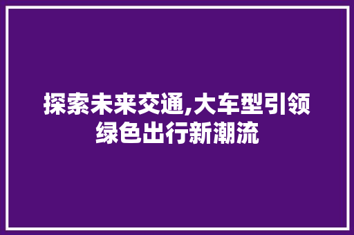 探索未来交通,大车型引领绿色出行新潮流