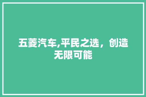五菱汽车,平民之选，创造无限可能