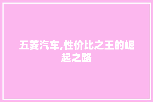 五菱汽车,性价比之王的崛起之路