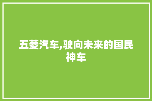 五菱汽车,驶向未来的国民神车