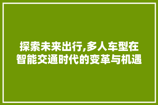 探索未来出行,多人车型在智能交通时代的变革与机遇