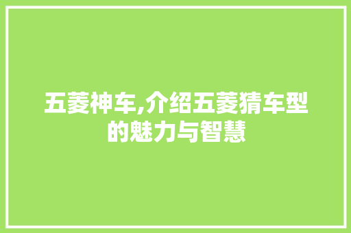 五菱神车,介绍五菱猜车型的魅力与智慧