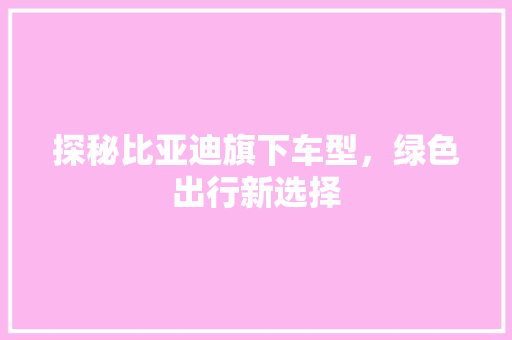 探秘比亚迪旗下车型，绿色出行新选择