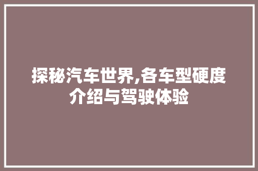 探秘汽车世界,各车型硬度介绍与驾驶体验