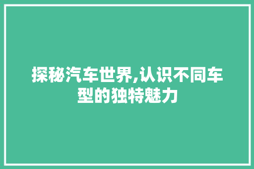 探秘汽车世界,认识不同车型的独特魅力