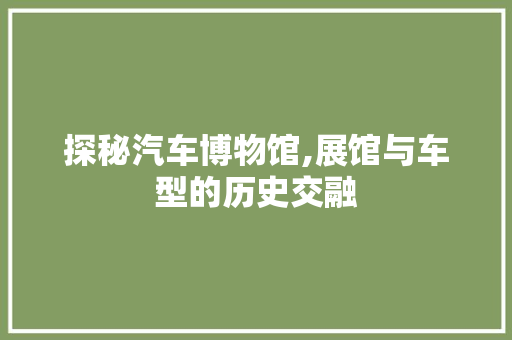 探秘汽车博物馆,展馆与车型的历史交融