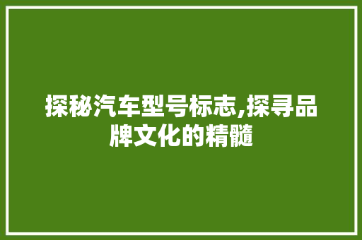 探秘汽车型号标志,探寻品牌文化的精髓