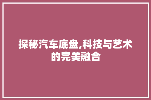 探秘汽车底盘,科技与艺术的完美融合