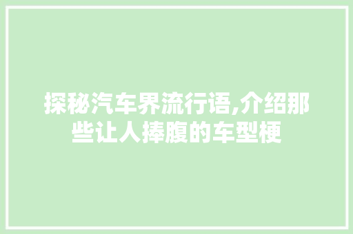 探秘汽车界流行语,介绍那些让人捧腹的车型梗