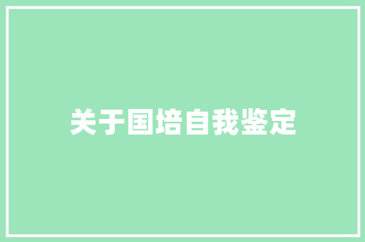 五十零车型,引领未来出行，打造绿色生活新风尚