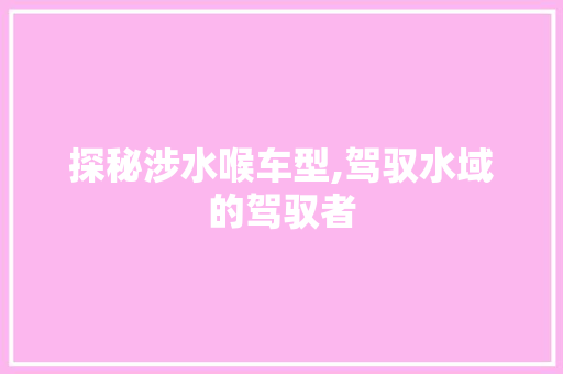 探秘涉水喉车型,驾驭水域的驾驭者