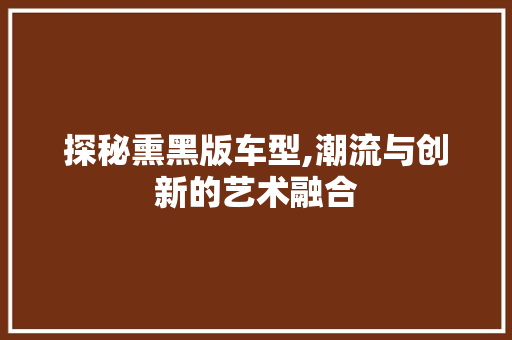探秘熏黑版车型,潮流与创新的艺术融合