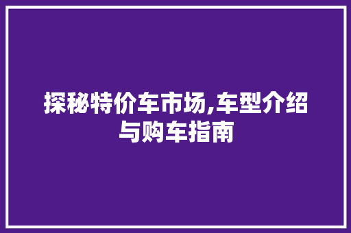 探秘特价车市场,车型介绍与购车指南