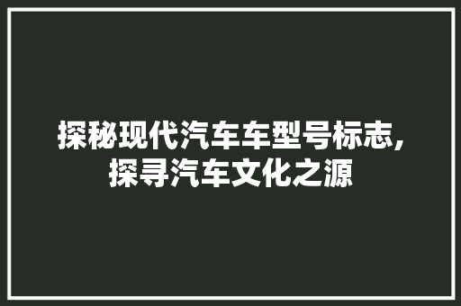 探秘现代汽车车型号标志,探寻汽车文化之源