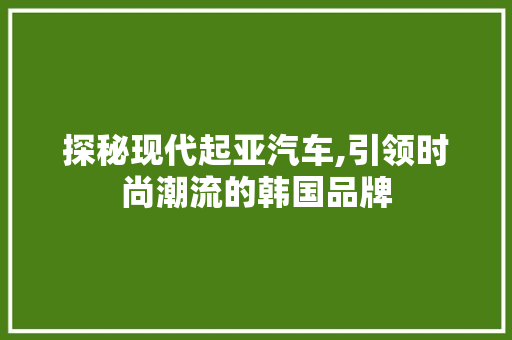 探秘现代起亚汽车,引领时尚潮流的韩国品牌