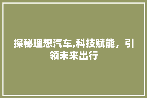 探秘理想汽车,科技赋能，引领未来出行