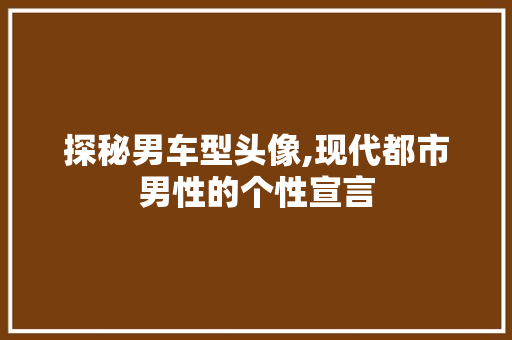探秘男车型头像,现代都市男性的个性宣言