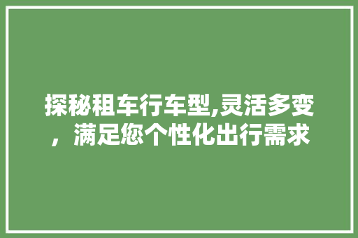 探秘租车行车型,灵活多变，满足您个性化出行需求