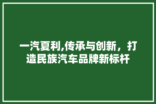 一汽夏利,传承与创新，打造民族汽车品牌新标杆