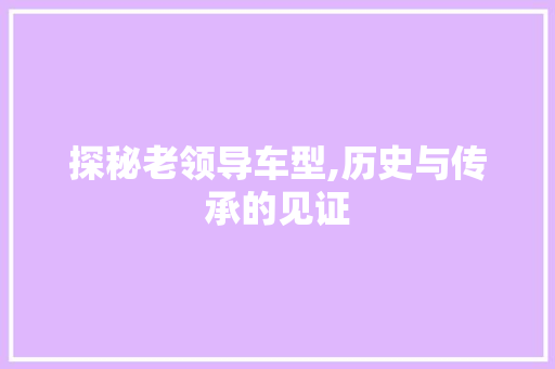 探秘老领导车型,历史与传承的见证