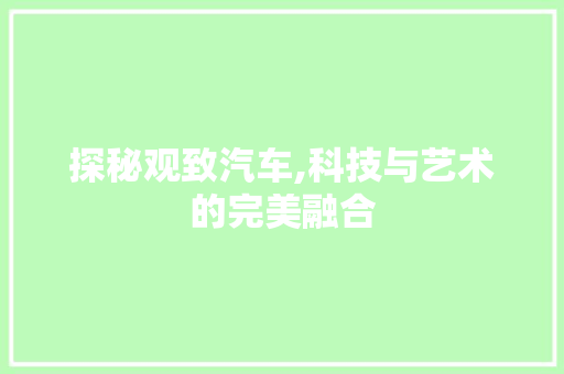 探秘观致汽车,科技与艺术的完美融合