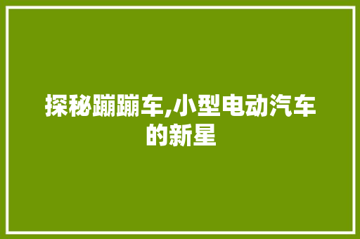 探秘蹦蹦车,小型电动汽车的新星