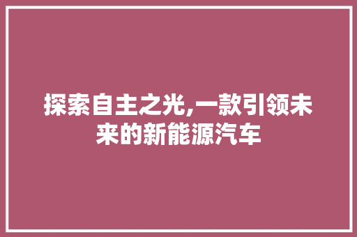 探索自主之光,一款引领未来的新能源汽车