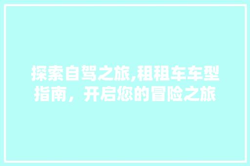 探索自驾之旅,租租车车型指南，开启您的冒险之旅
