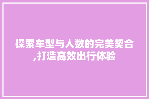 探索车型与人数的完美契合,打造高效出行体验