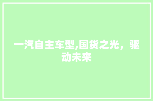 一汽自主车型,国货之光，驱动未来