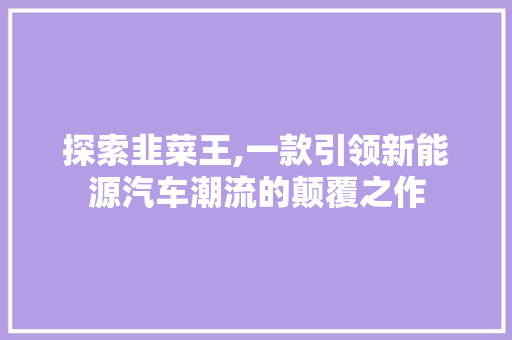 探索韭菜王,一款引领新能源汽车潮流的颠覆之作