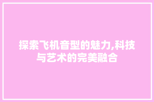 探索飞机音型的魅力,科技与艺术的完美融合