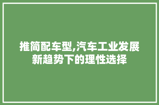 推简配车型,汽车工业发展新趋势下的理性选择 蓄电池配件