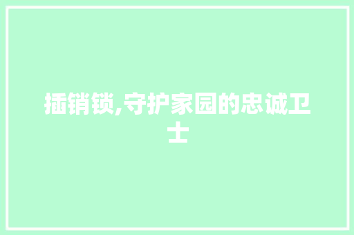 插销锁,守护家园的忠诚卫士