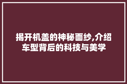 揭开机盖的神秘面纱,介绍车型背后的科技与美学