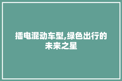 插电混动车型,绿色出行的未来之星